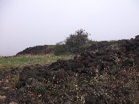 fugio della Galvarina-20100515 131